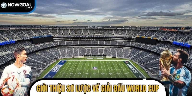 Giới thiệu sơ lược về giải đấu World Cup và những thay đổi