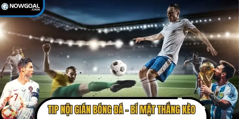 Tip nội gián bóng đá